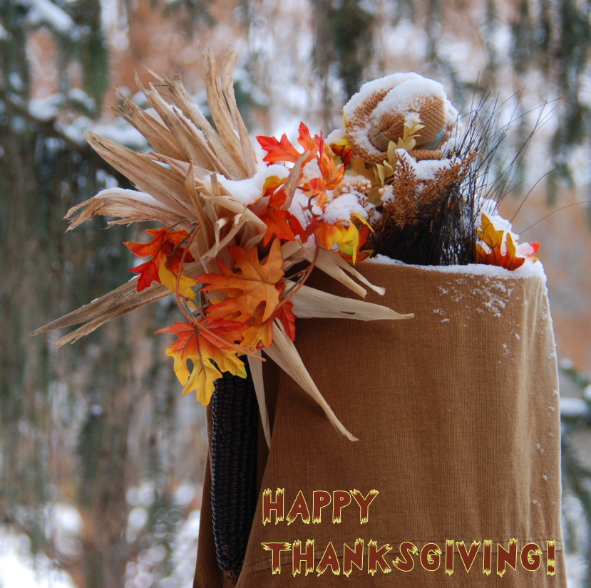 wp 1  happy thanksgiving