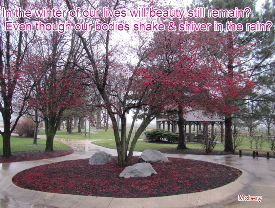 4 rest area pretty tree poem