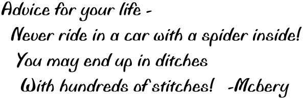 6 a spider in the car