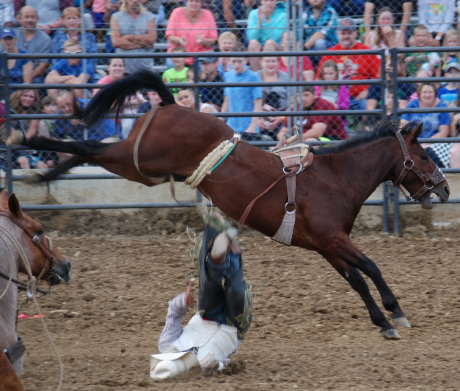 4 rodeo cowboy lands hard