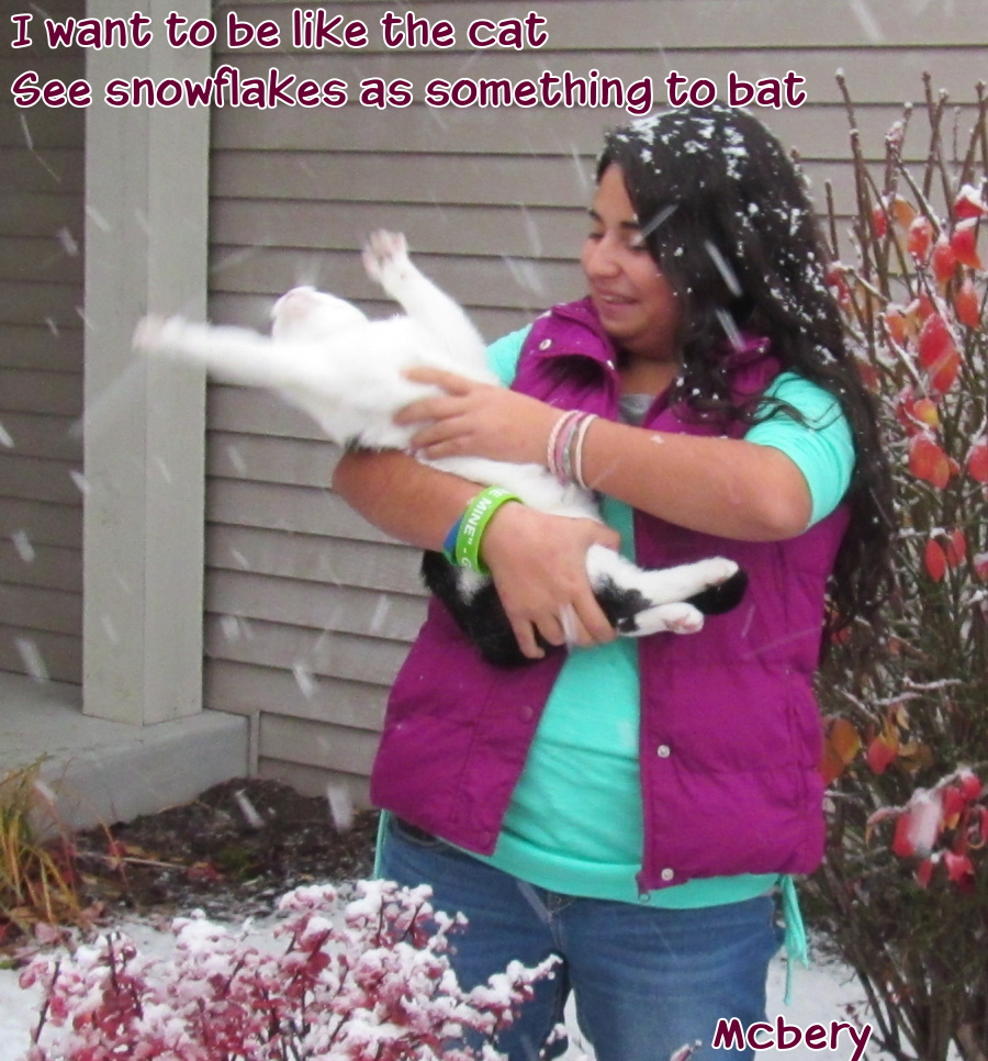 8-snowflakes-cat