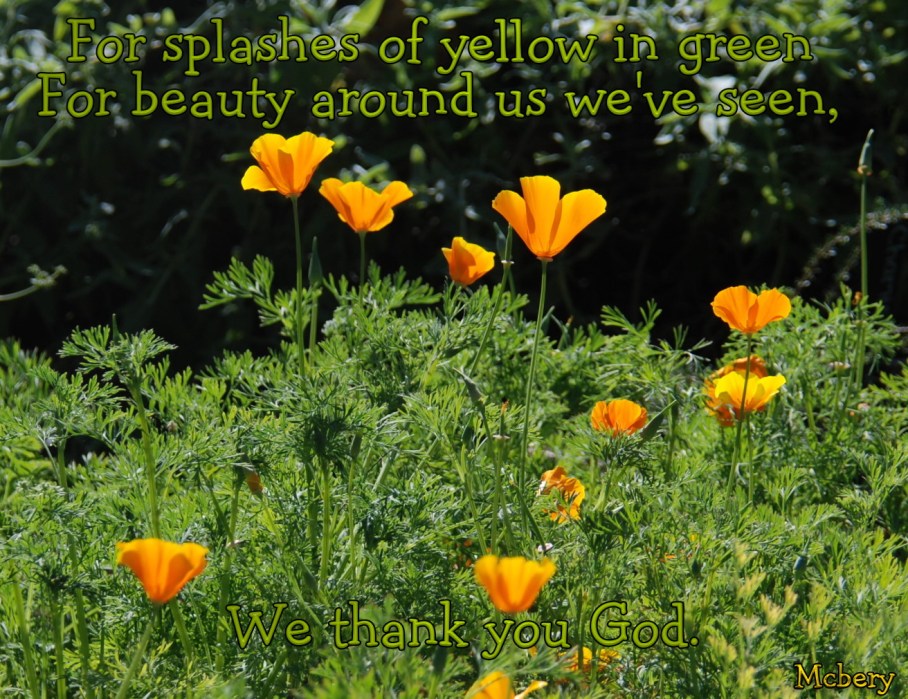 3 b labrea tar pits 6