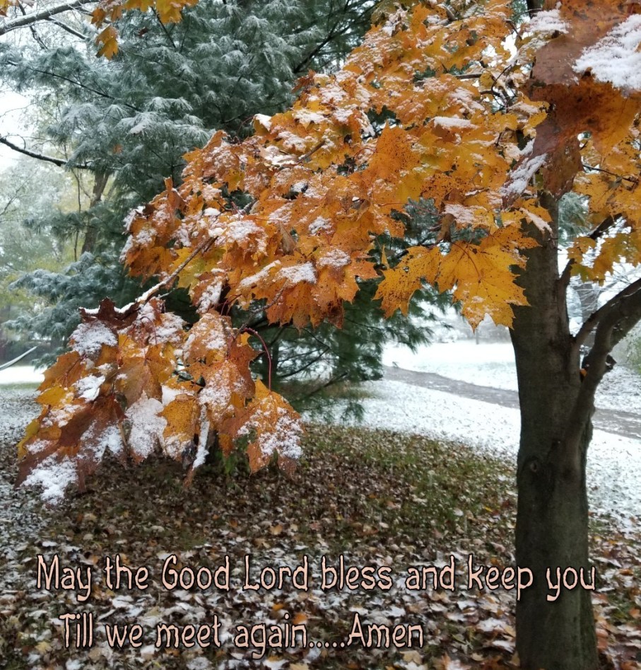 3-o-fall-trees-november.jpg