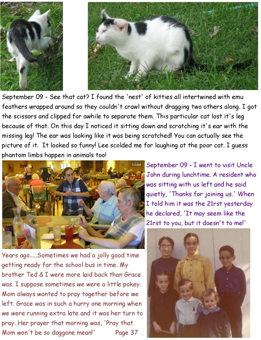 3 z laughter page 37