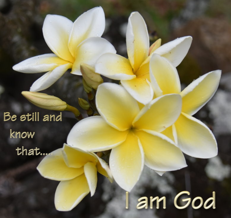 2 b road to hana flowers in graveyard e