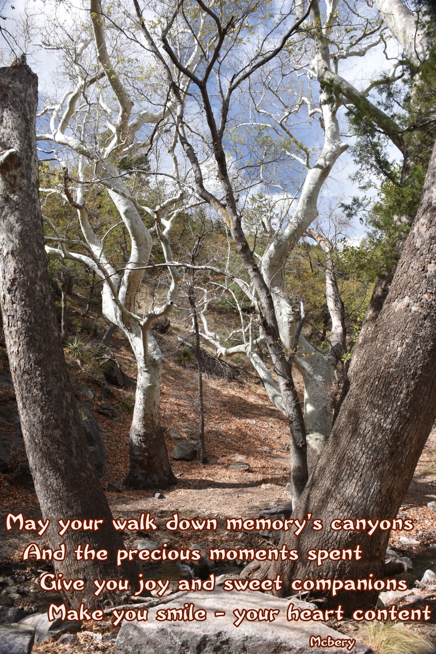 8 b ramsey canyon 1 e