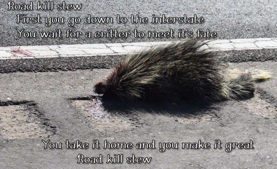 4 v road kill porcupine e