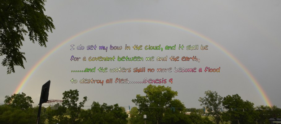 6 june rainbow 2019 3