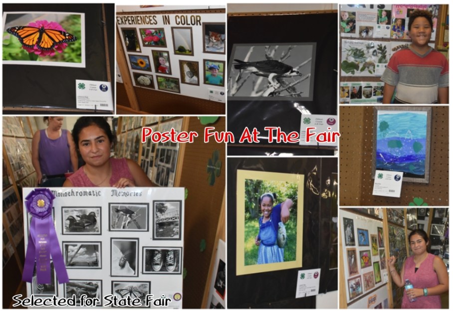 1 b fair state fair julie posters kids